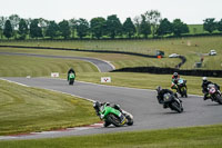 Middle Group Green Bikes